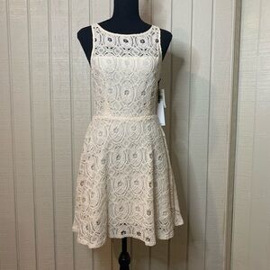 BB Dakota Renley Lace Fit and Flare mini dress, size 4. NWT.